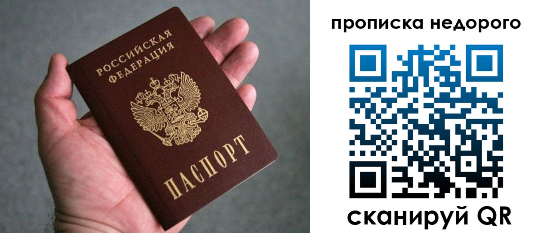 прописка для школы в Шуе